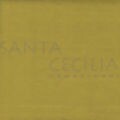 Feltro para Artesanato 50x70cm 180g - Verde Abacate